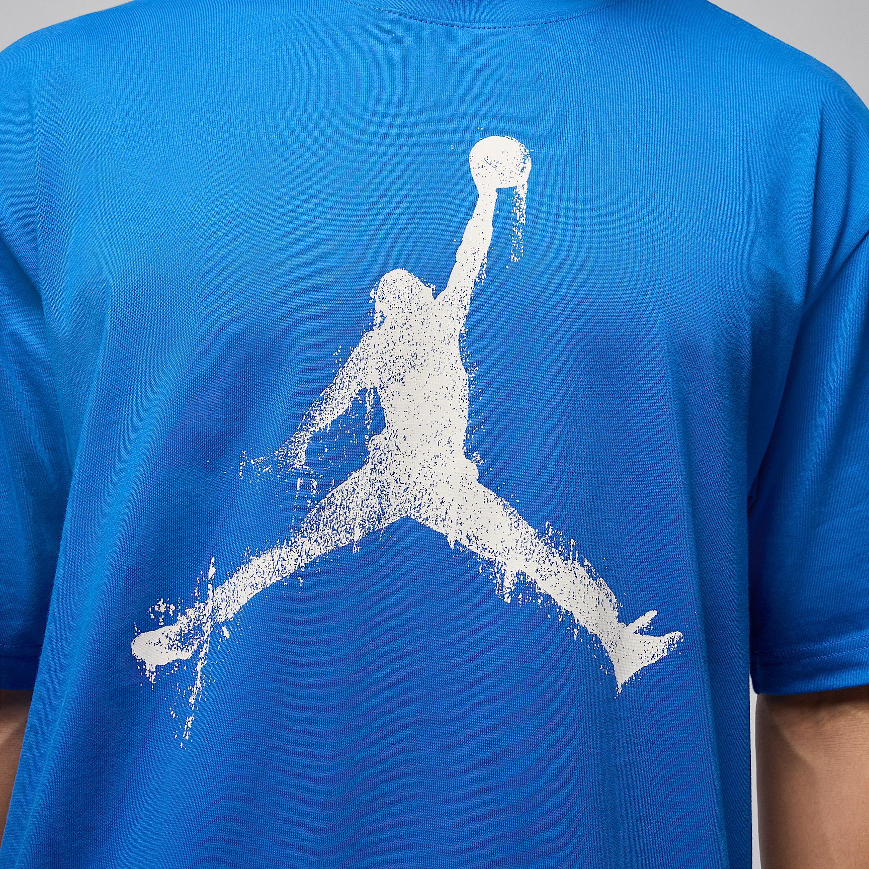 Mens Jordan Brooklyn T-Shirt | HQ8925-459 Product Image