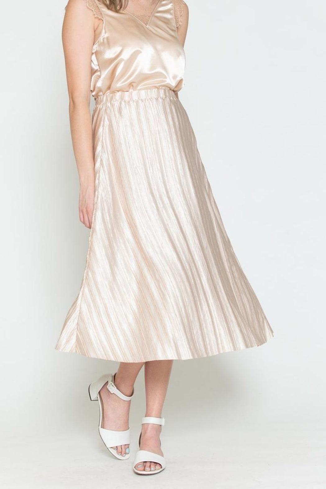 Pleated Skirt Product Image