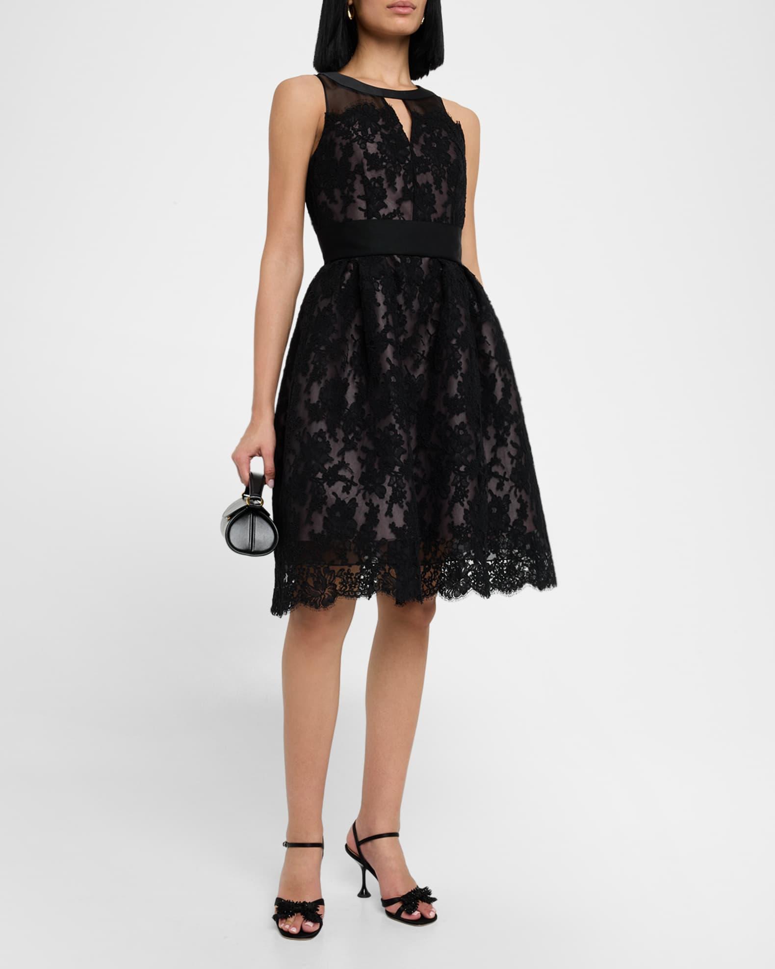 Lace Sleeveless Fit-&-Flare Dress Product Image