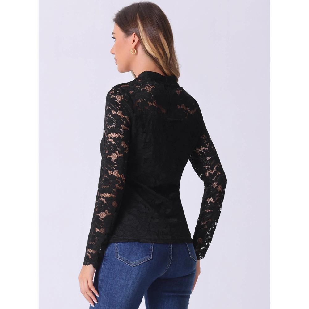 Allegra K Women's Semi Sheer Lace Long Sleeve Round Neck Work Casual Vintage Top Product Image