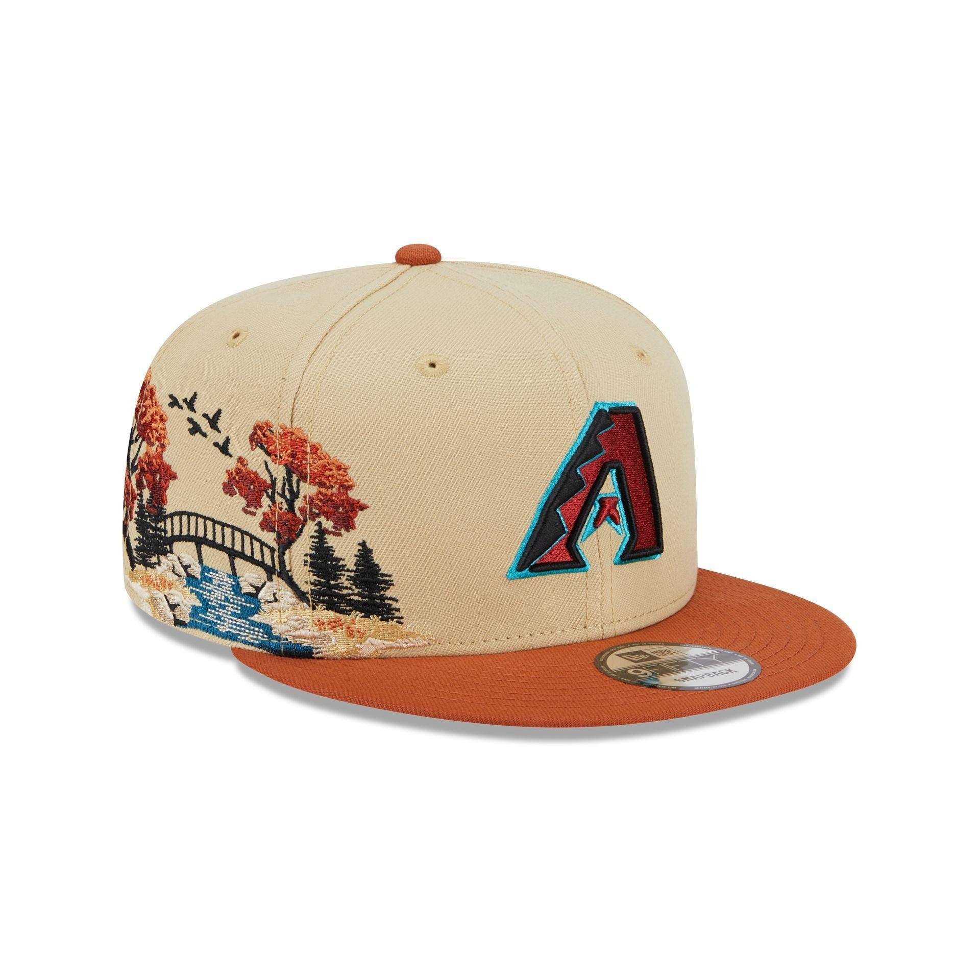 Arizona Diamondbacks Fall Landscape 9FIFTY Snapback Hat Male Product Image