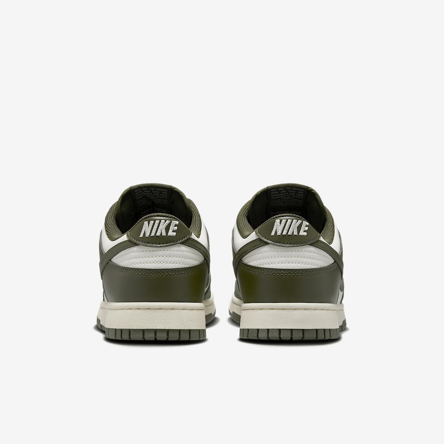 Nike Mens Dunk Low Retro Shoes | HF5441-105 Product Image