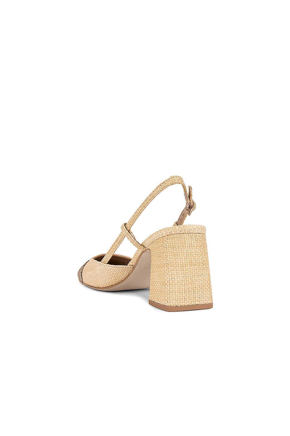 Becka Slingback Steve Madden Product Image