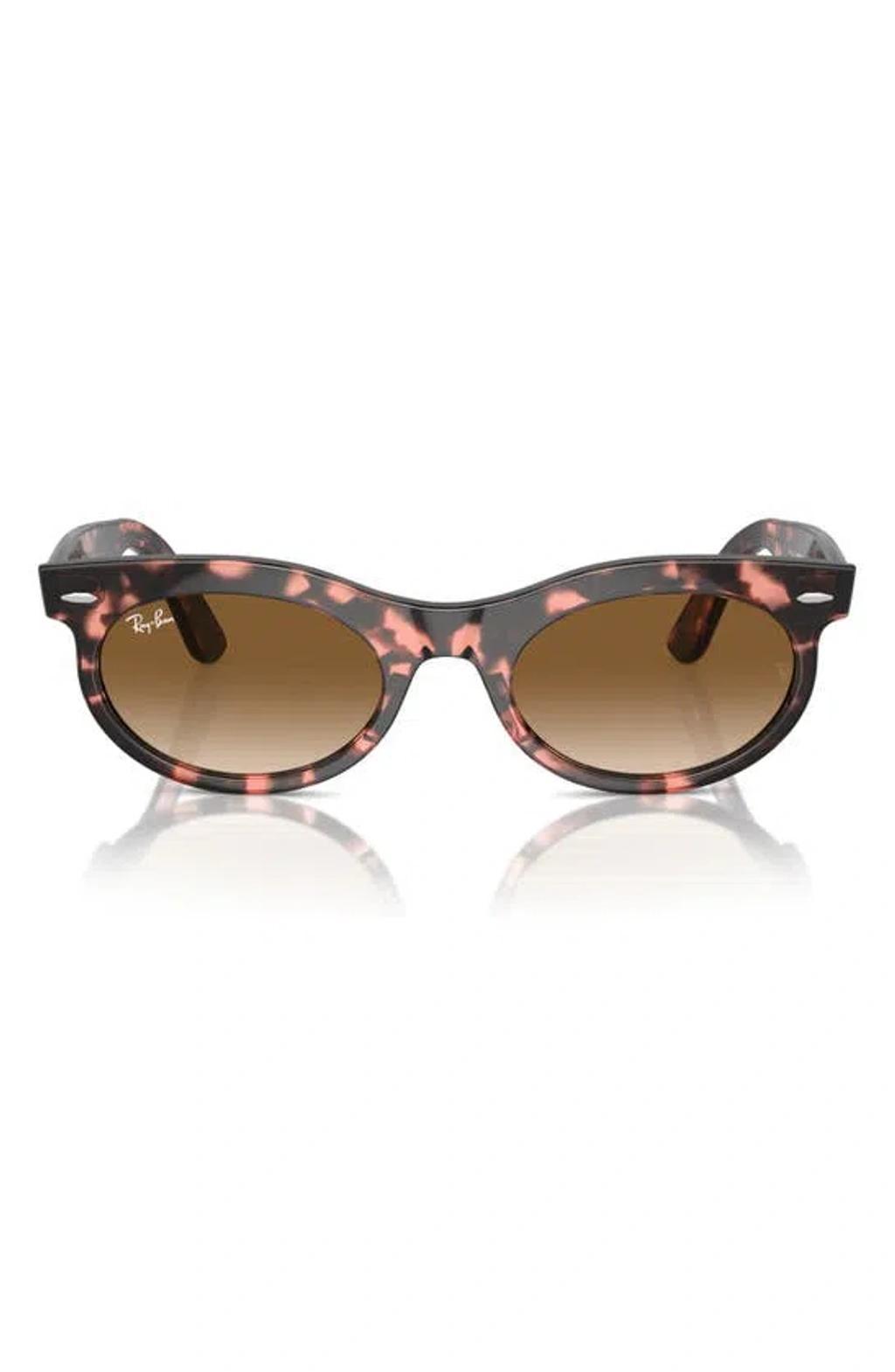 RAY BAN Wayfarer 53mm Oval Sunglasses In Havana Pink Product Image