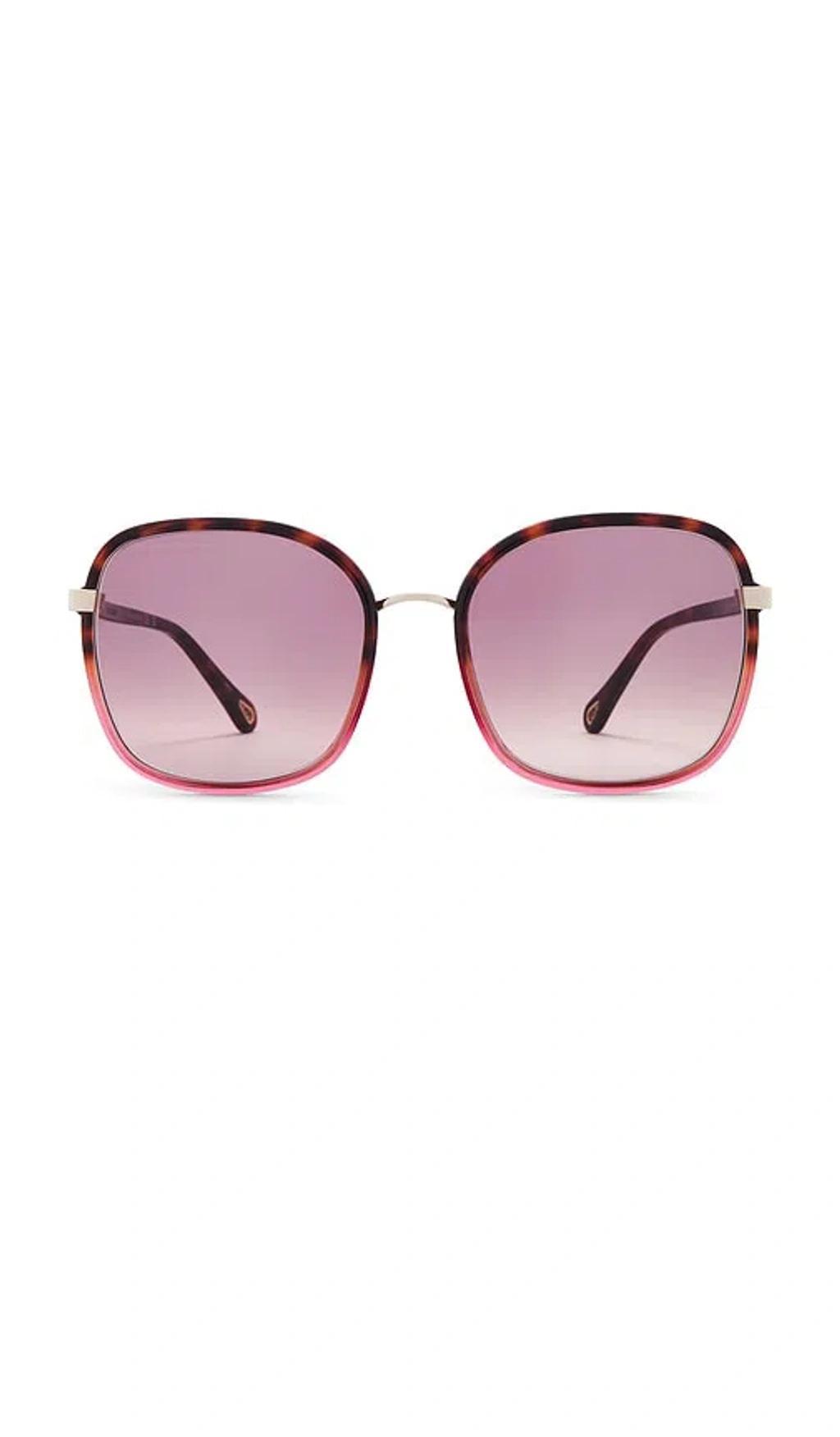 CHLOÉ Franky Sunglasses In Havana & Red Product Image