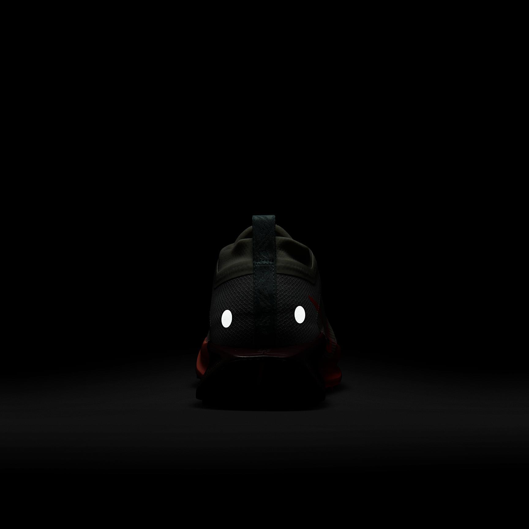 Nike Mens Pegasus Trail 5 GORE-TEX Waterproof Trail Running Shoes | FQ0908-104 Product Image