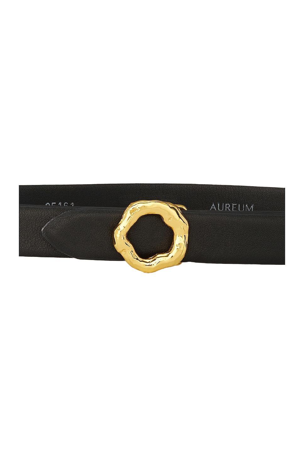 AUREUM Black & Gold Motif Belt Black. (also in ). Product Image