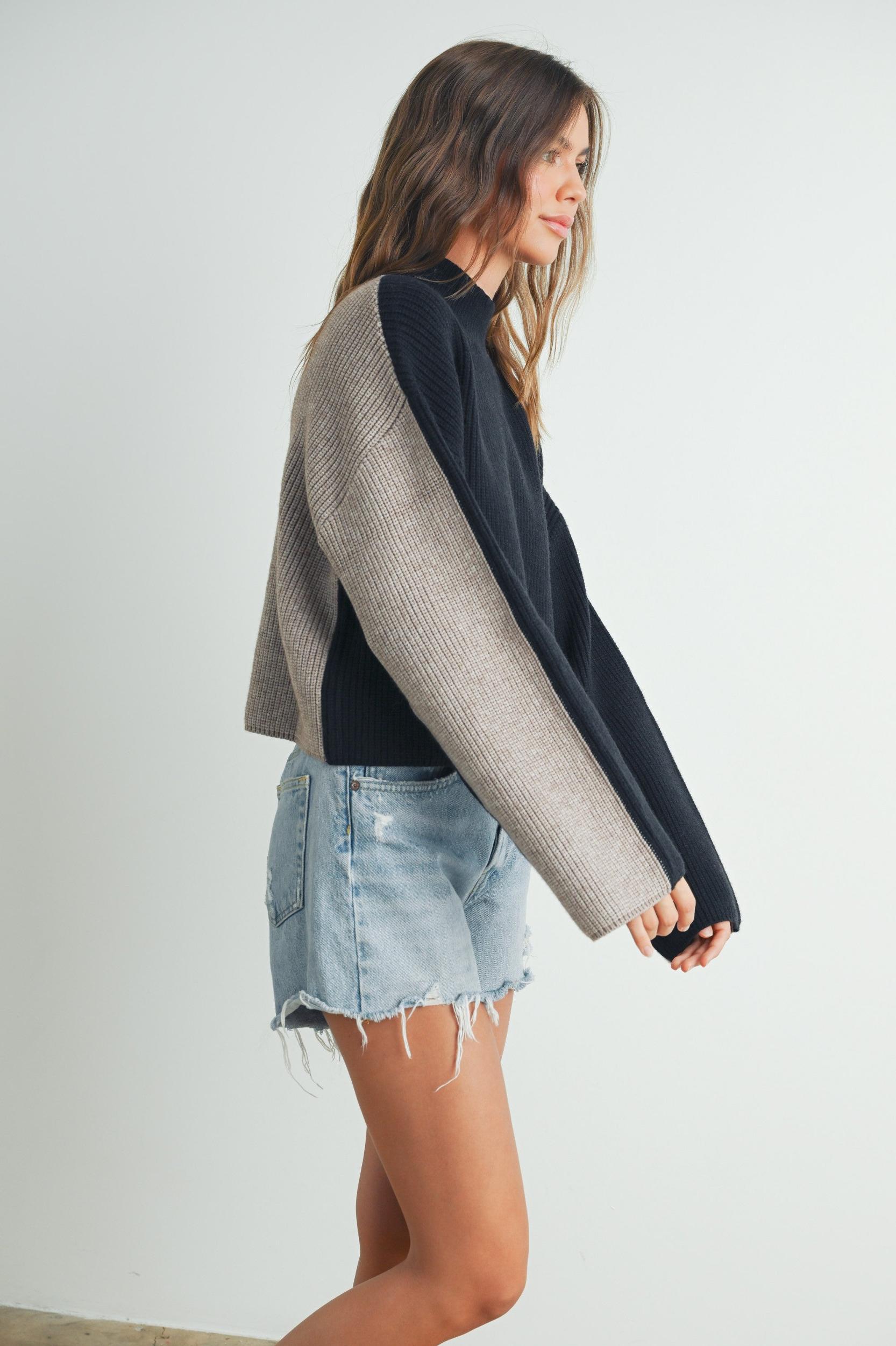 Two Tone Mock Neck Sweater Product Image