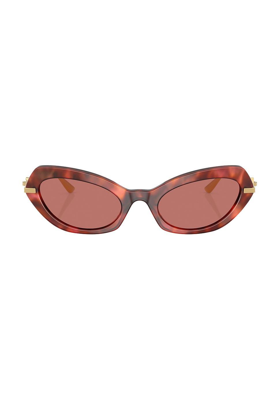 DOLCE & GABBANA Cat Eye Sunglasses In Multi Product Image