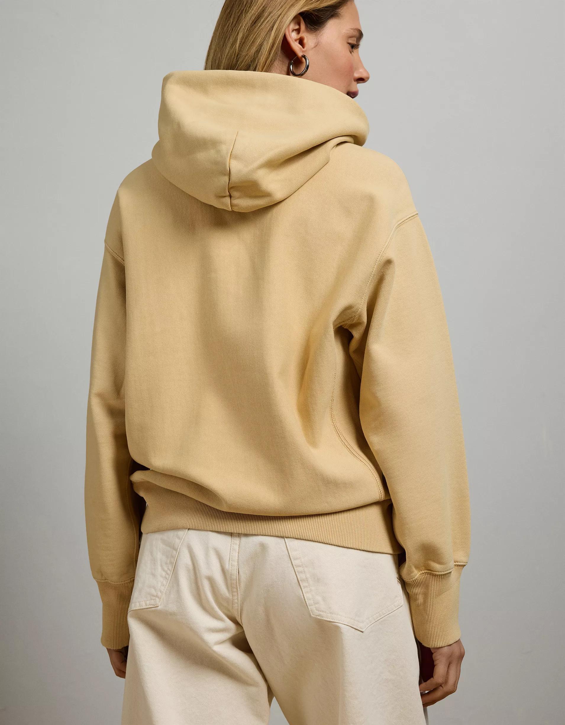 AE77 Premium Fleece Hoodie Product Image
