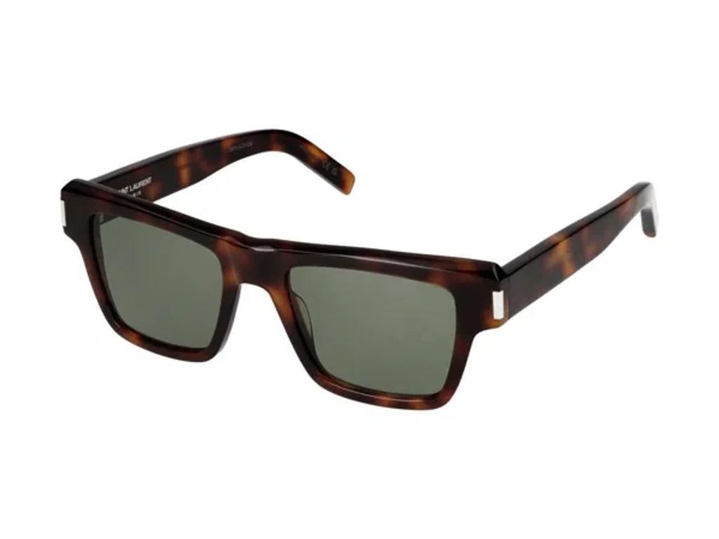 SAINT LAURENT Sunglasses In Havana Havana Green Product Image