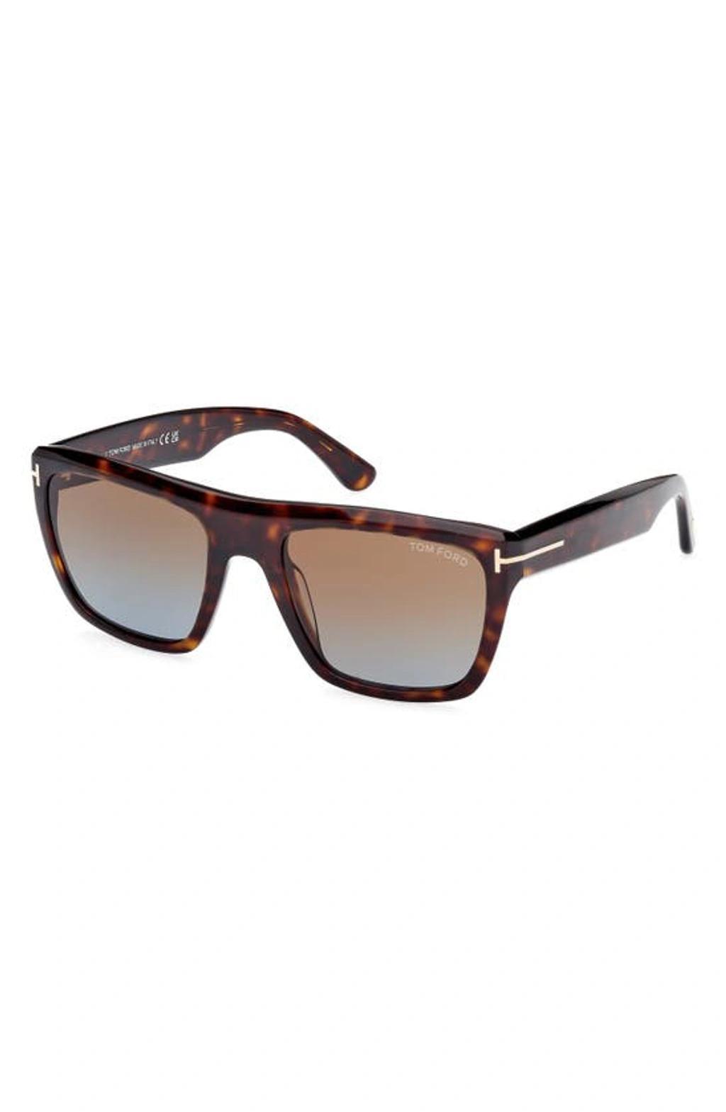 TOM FORD Sunglasses In Shiny Havana/brown Blue Product Image