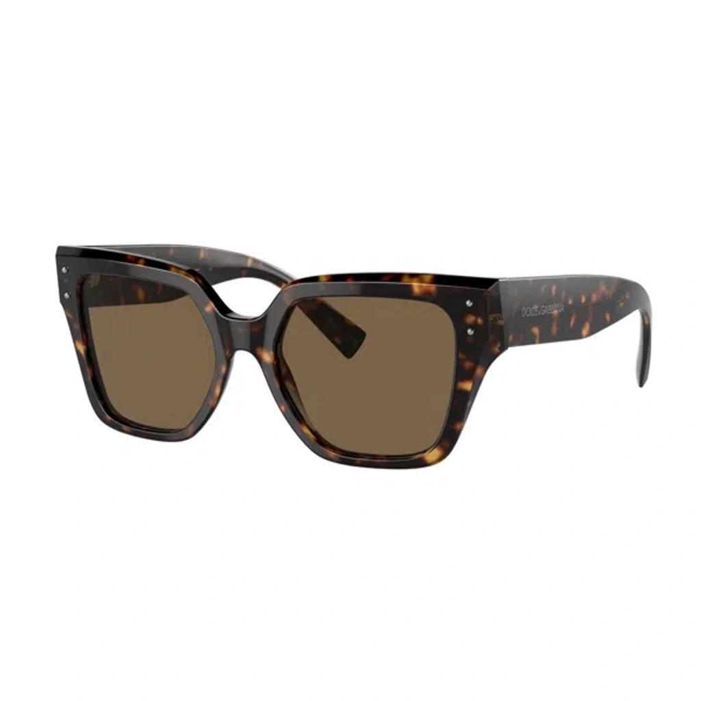 DOLCE & GABBANA Eyewear In Brown Product Image