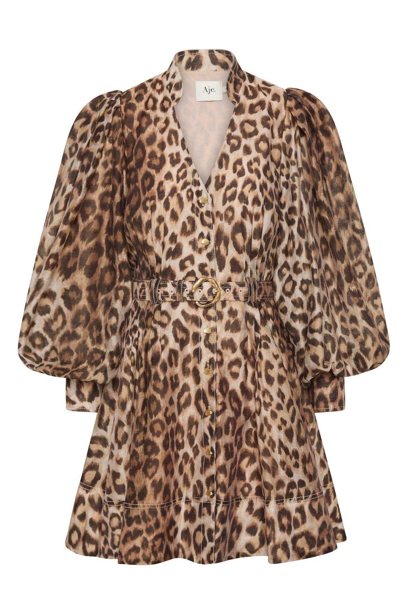 Colette Mini Dress Product Image