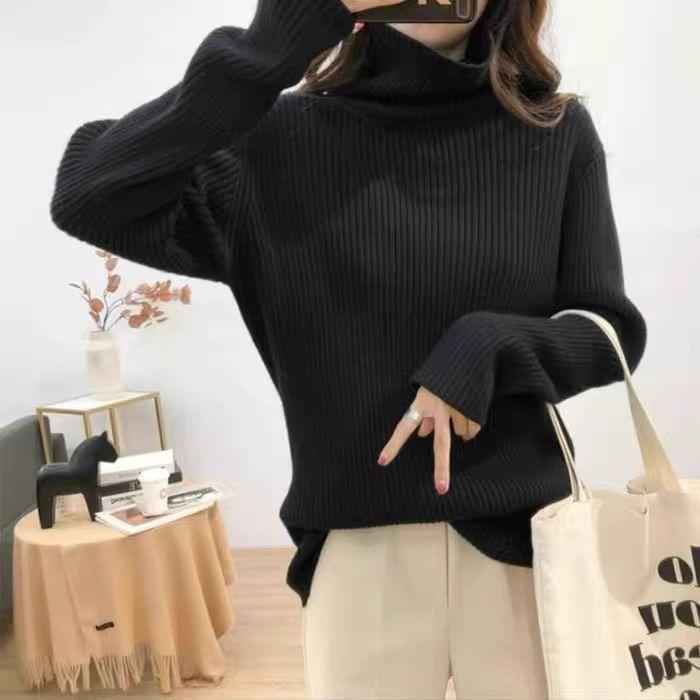 Turtleneck Plain Sweater Product Image