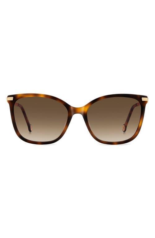 CAROLINA HERRERA 55mm Gradient Rectangular Sunglasses In Havana/brown Sf Product Image