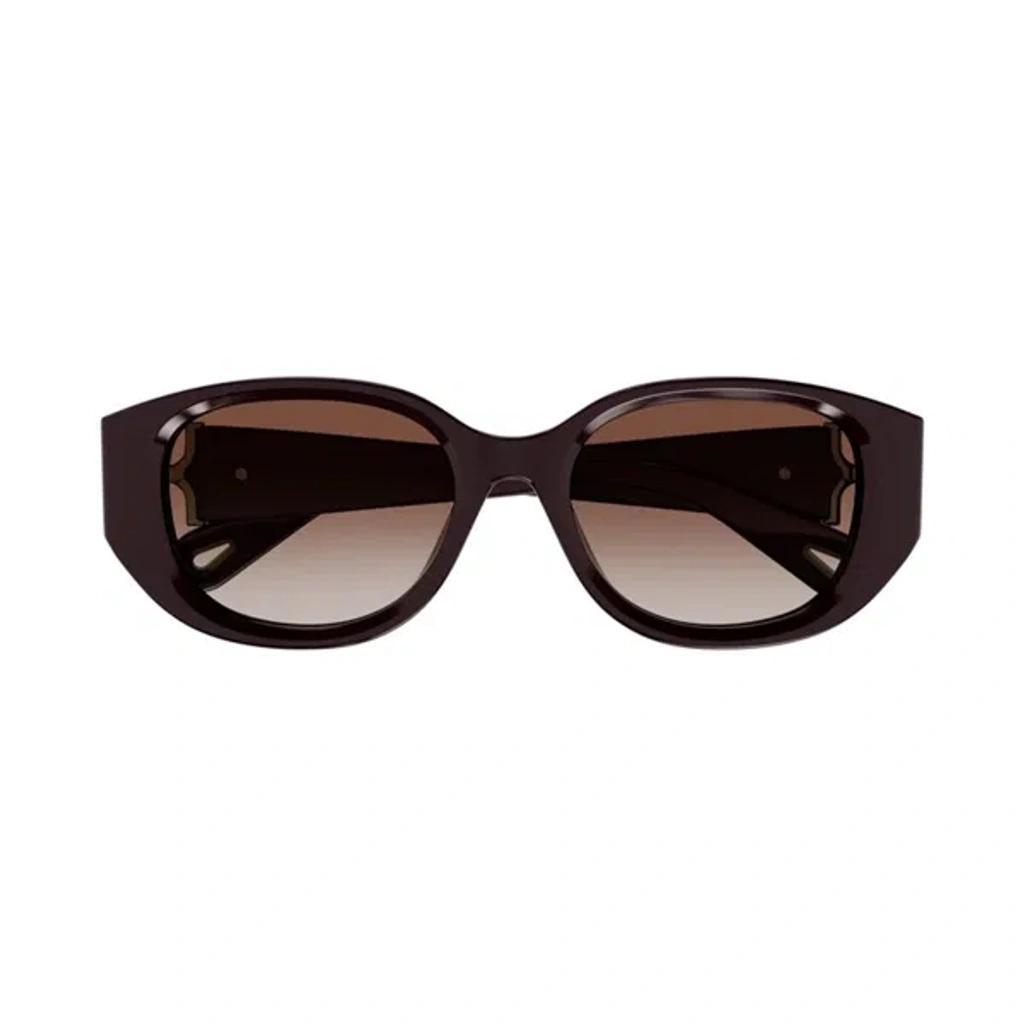 CHLOÉ Women's Chloã© Ch0237sk 003 Sunglasses In Garnet Product Image