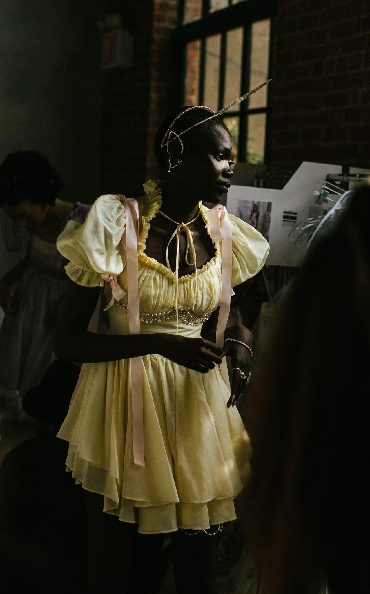 The Twinkie Portrait of a Lady Dress Product Image