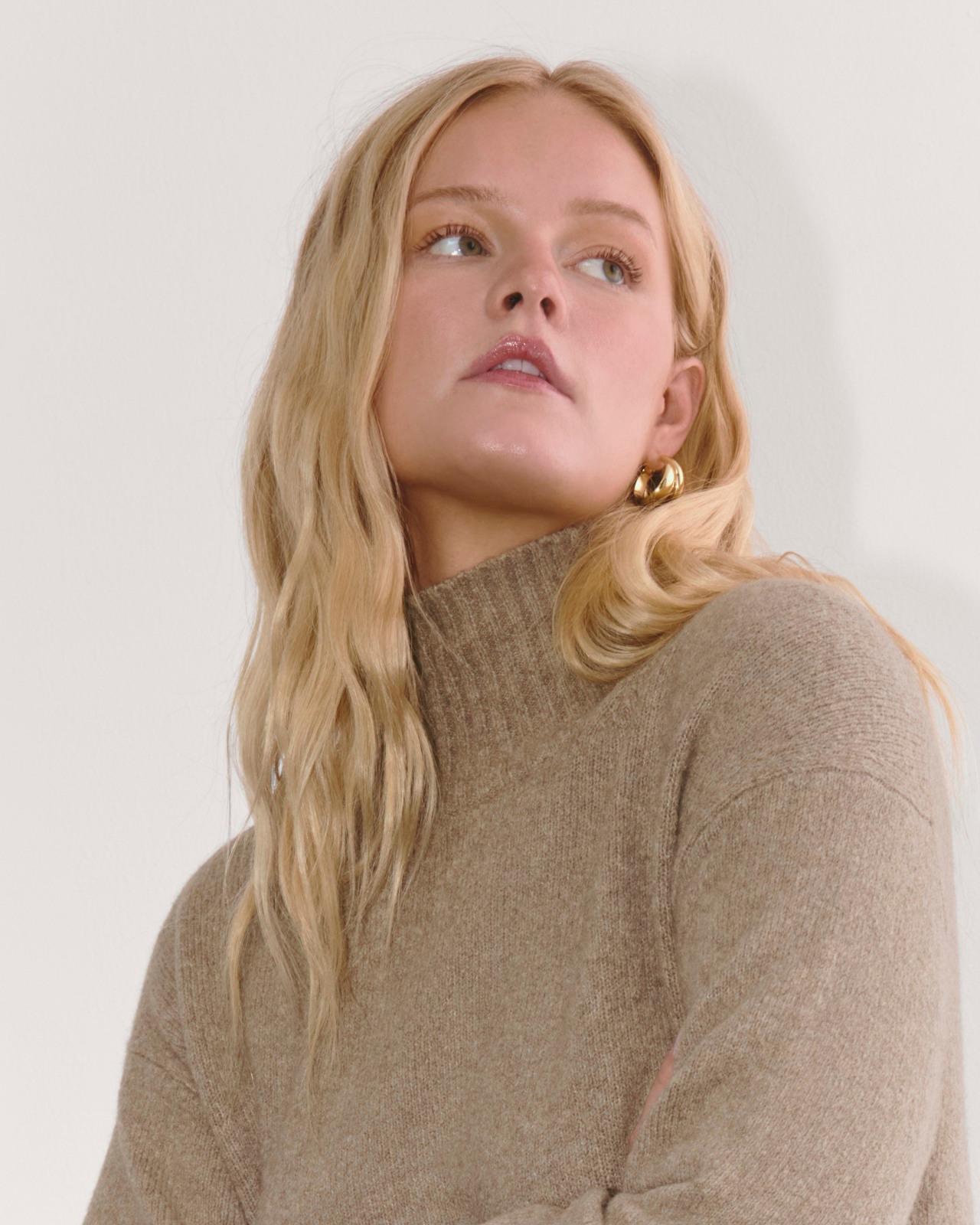 Womens Sweater Dress in Plush Cotton by Everlane Product Image