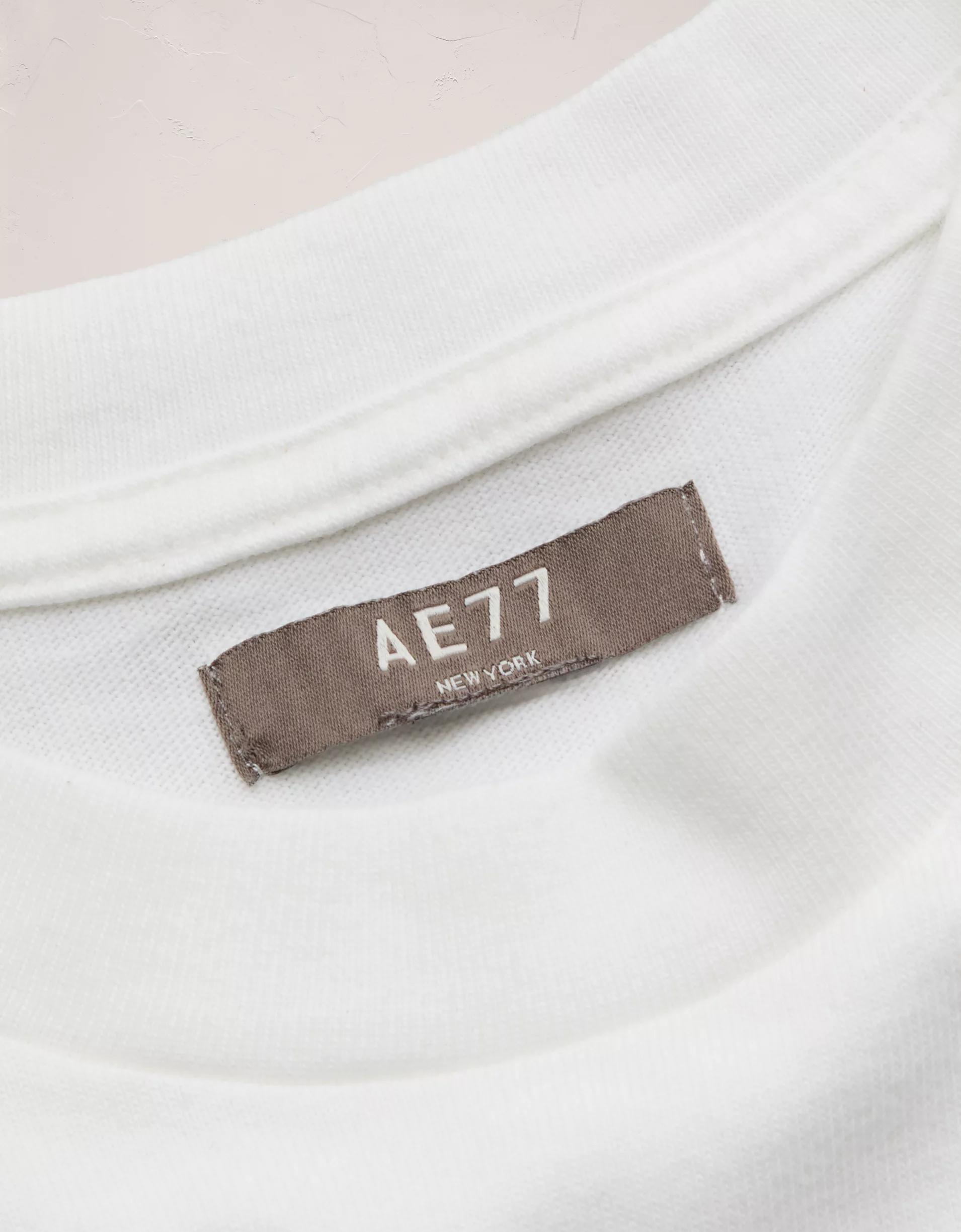 AE77 Premium Boxy T-Shirt Product Image