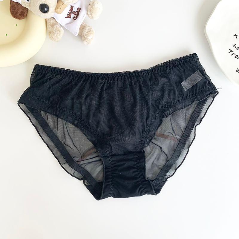 Lace Panel Panty Product Image