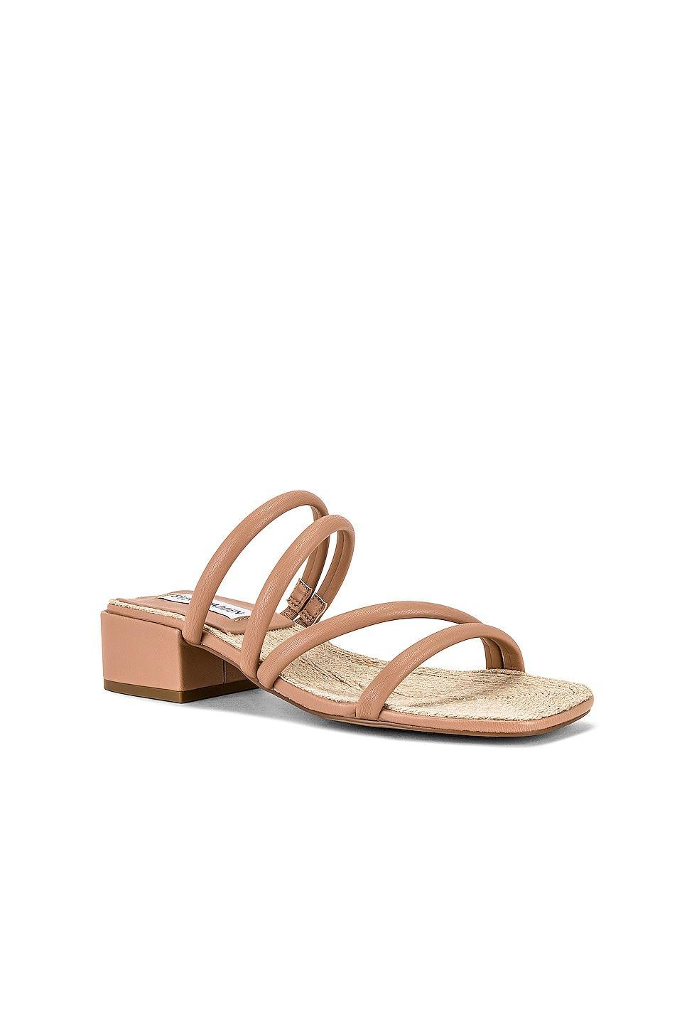 Citizen Sandal Steve Madden Product Image