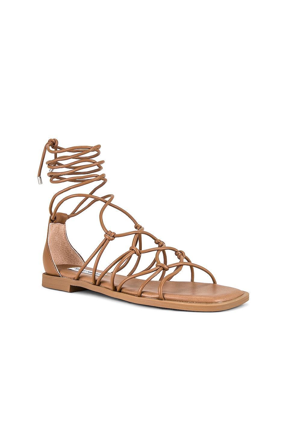 Ainsley Sandal Steve Madden Product Image