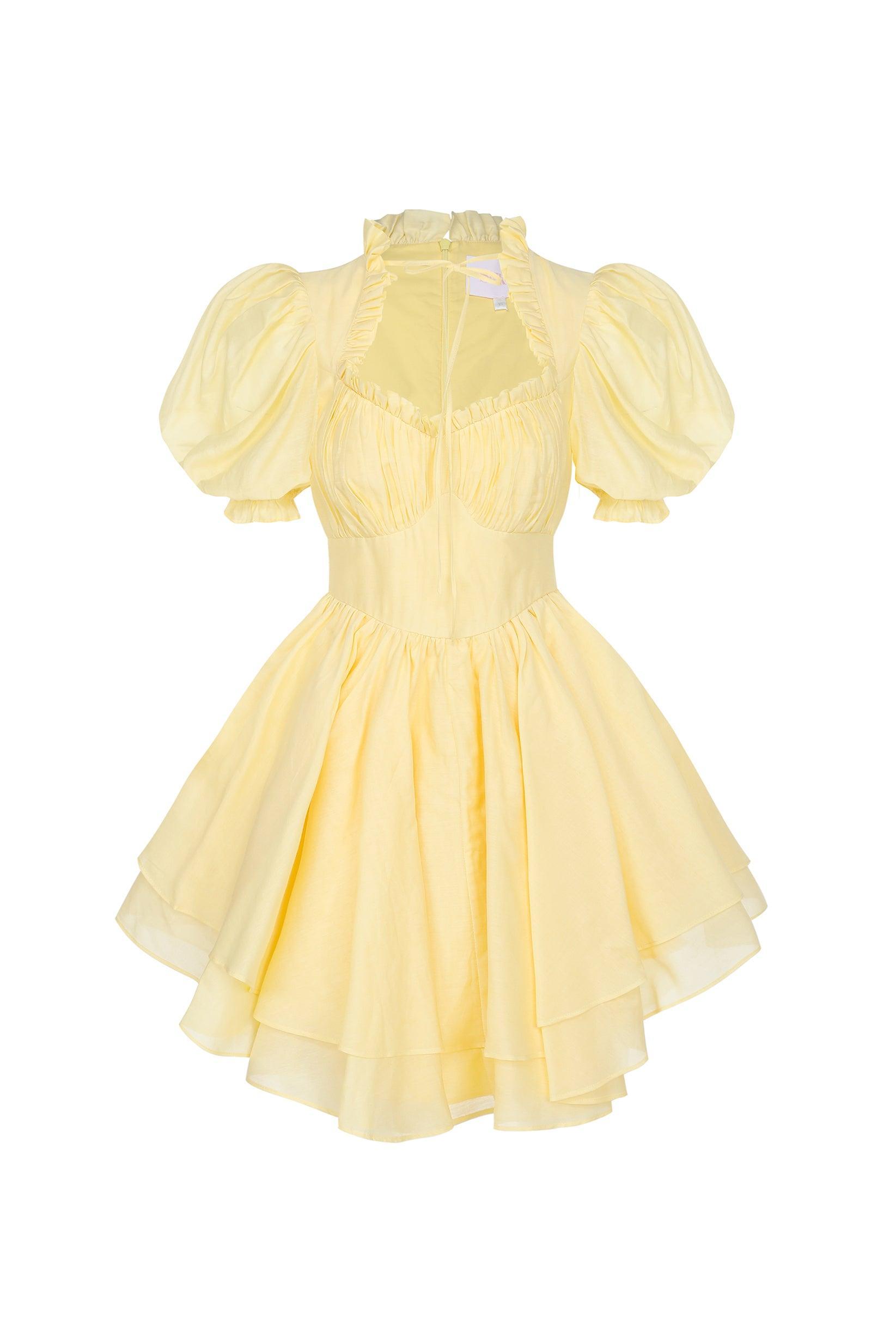 The Twinkie Portrait of a Lady Dress Product Image