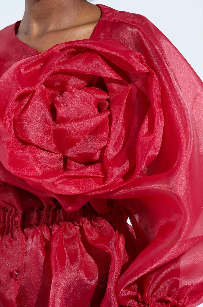 JULIA BUTTON DOWN BLOUSE Product Image