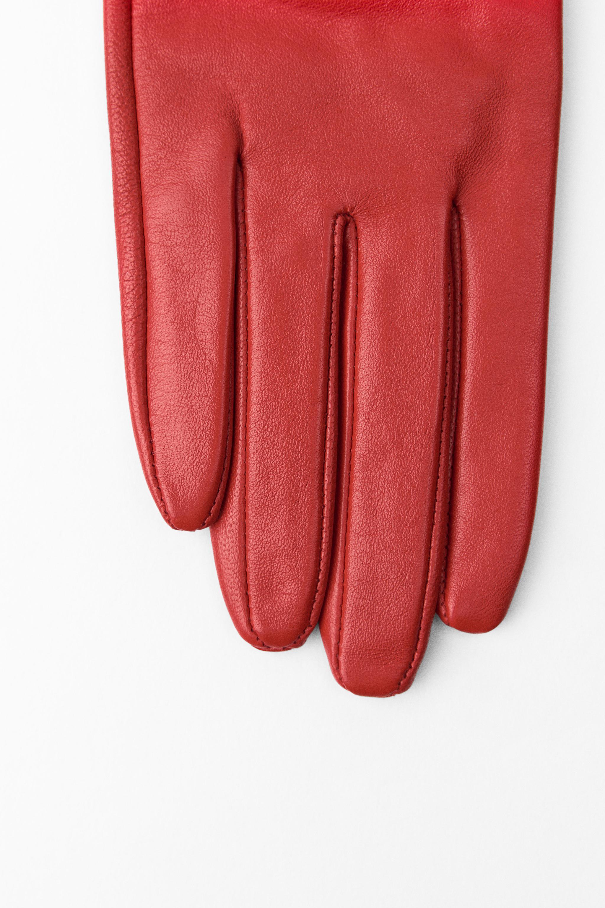 SHORT LEATHER GLOVES Product Image