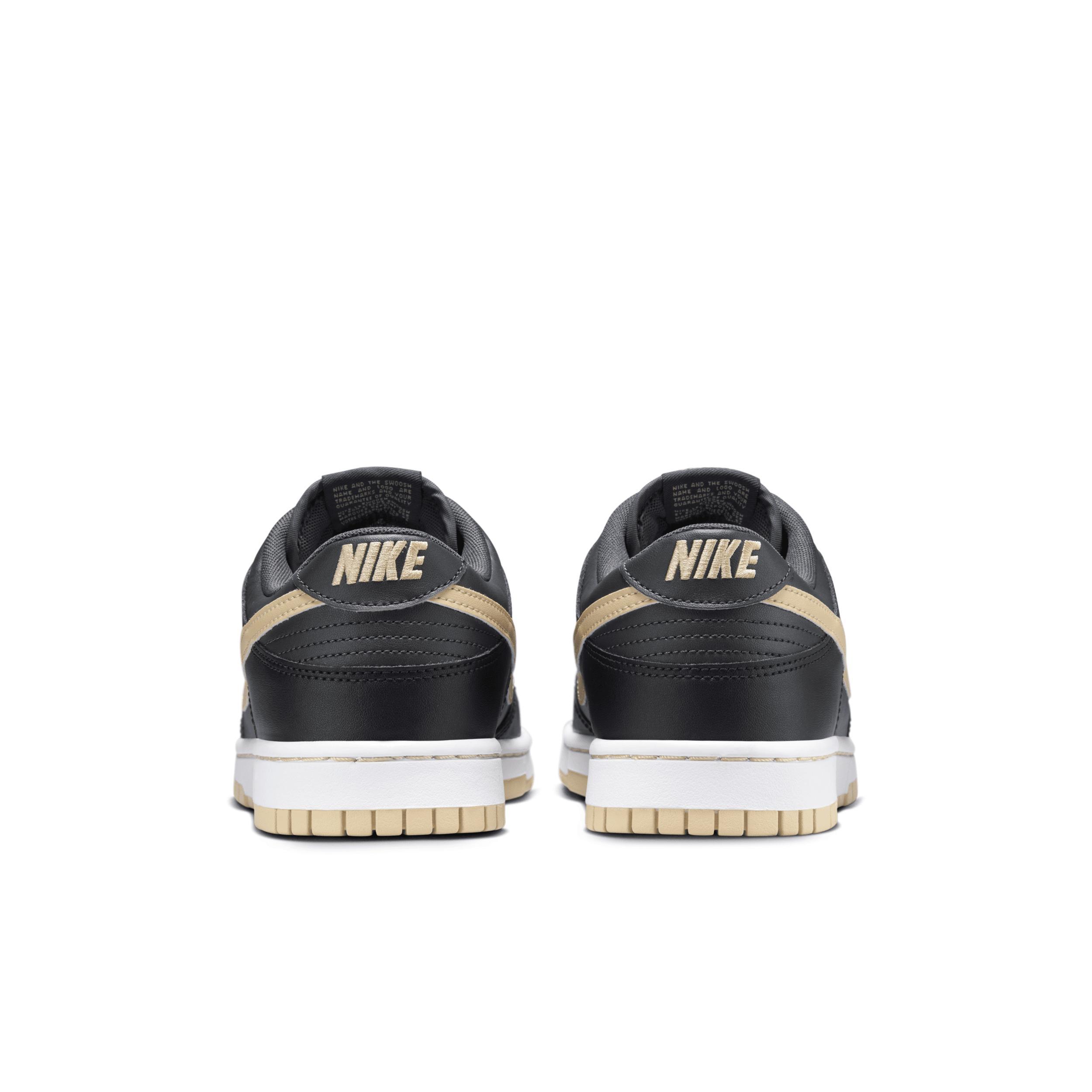 Nike Dunk Low Retro Men's Shoes Product Image