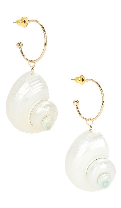 Shell Earrings 8 Other Reasons Product Image