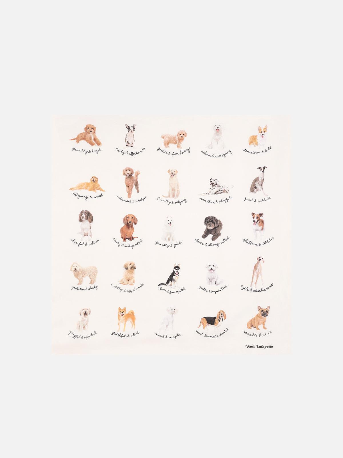 Animal Print Square Scarf Product Image