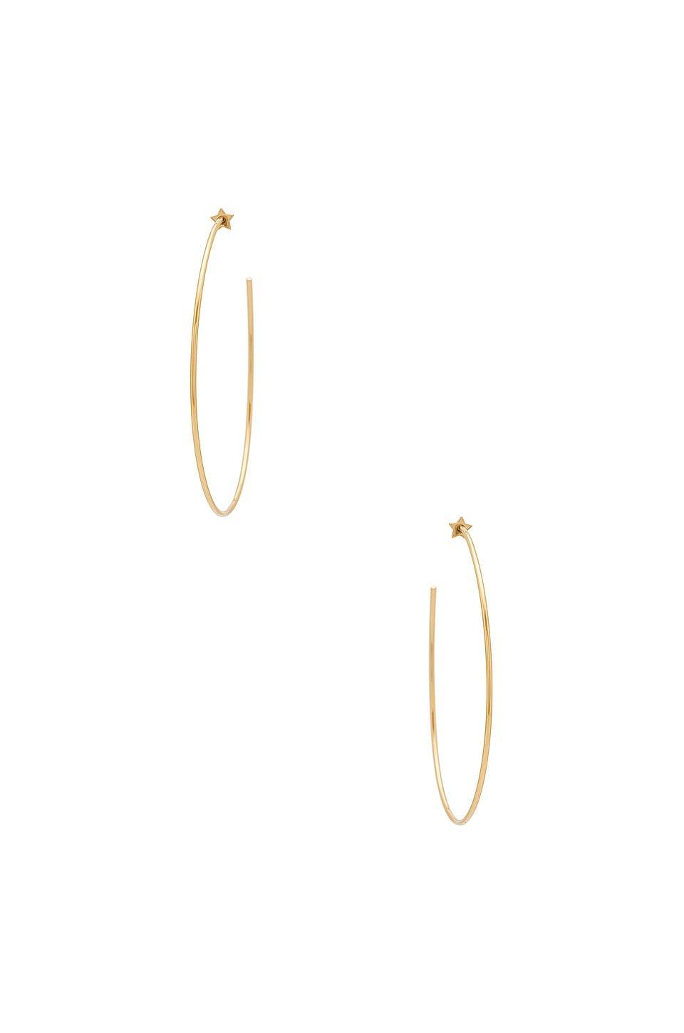 Starlet Hoops Jenny Bird Product Image