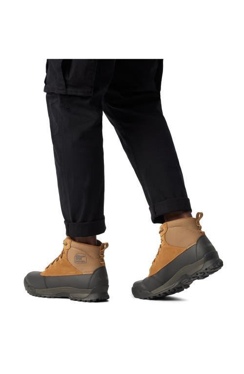 SOREL Buxton Lite Lace In Elk,black Product Image