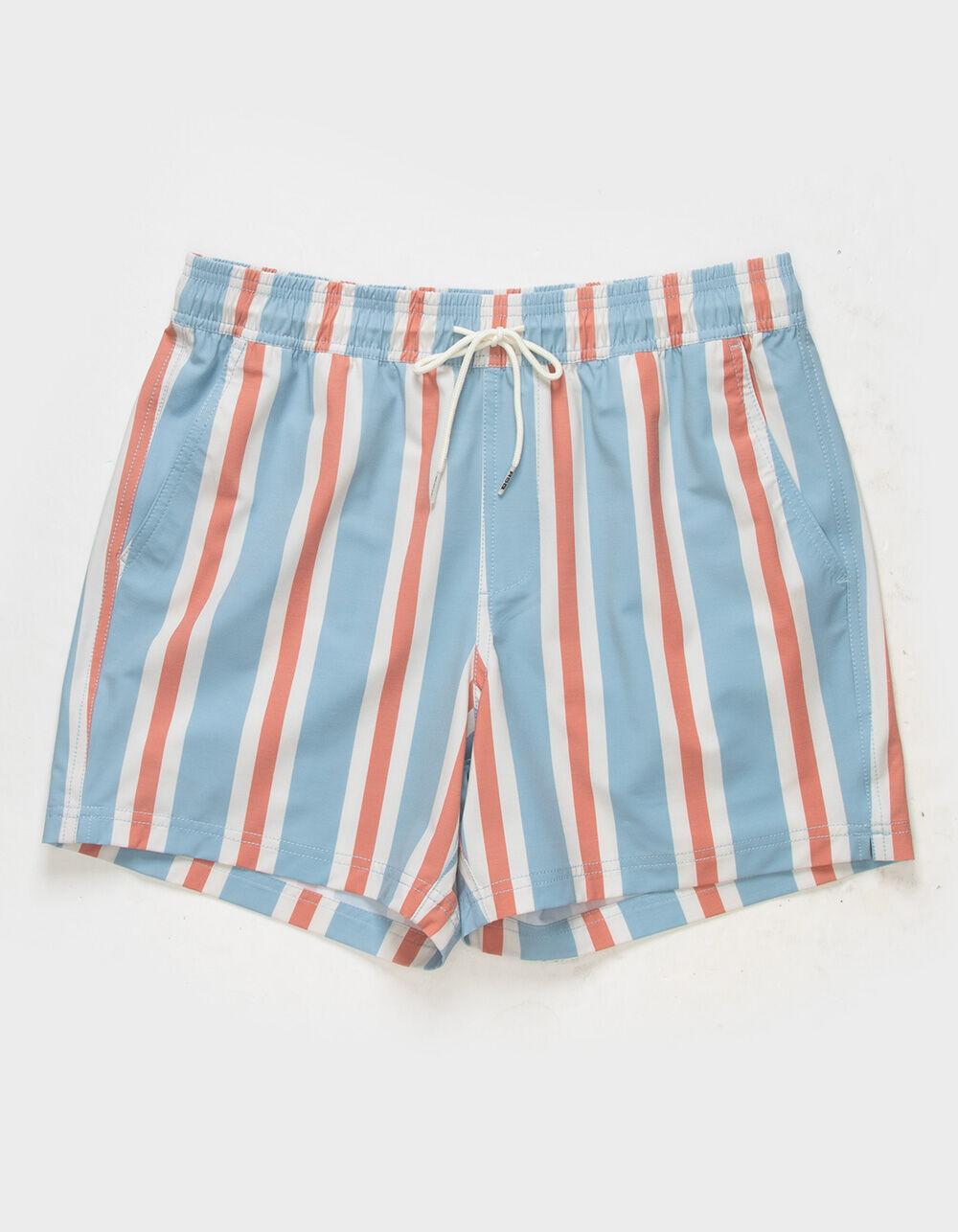 RSQ Vintage Stripe Mens 5" Swim Shorts Product Image