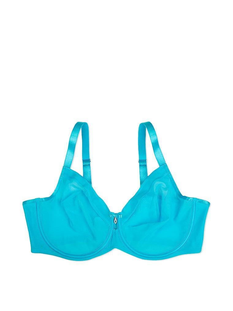 Sheer Mesh Unlined Bra Product Image