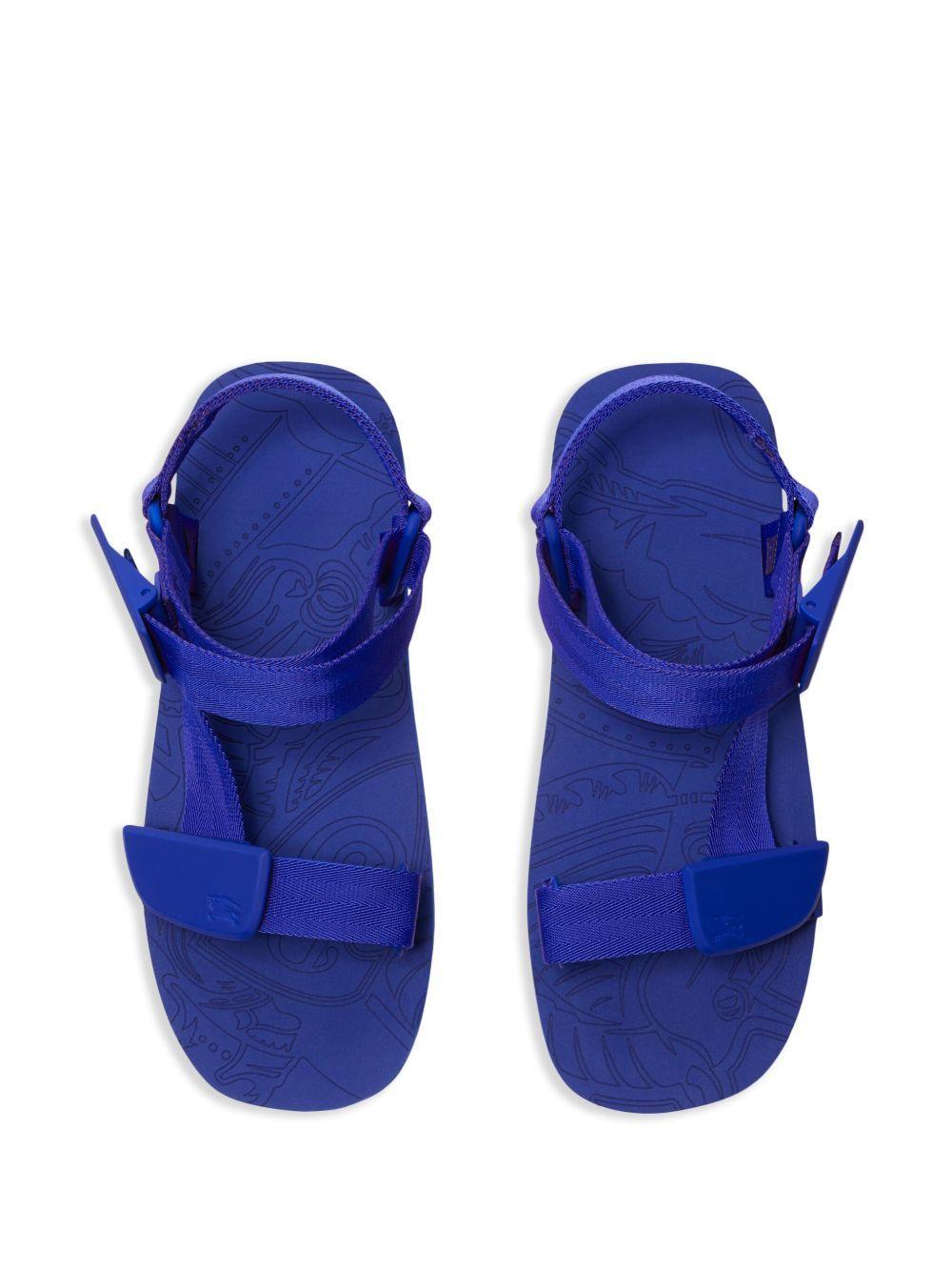 Trek flat sandals Product Image