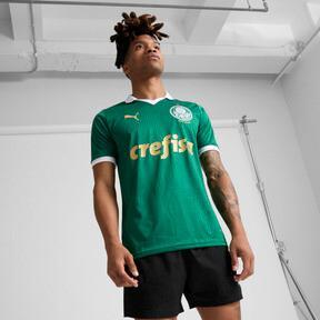 PUMA Palmeiras Fans '24 Home Men's Jersey Product Image