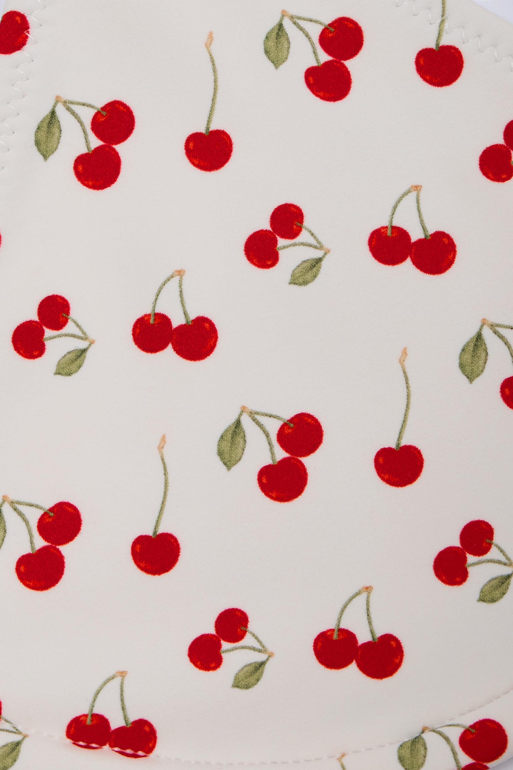 Charm-Detail Triangle Bikini Top in Cherry Print Product Image