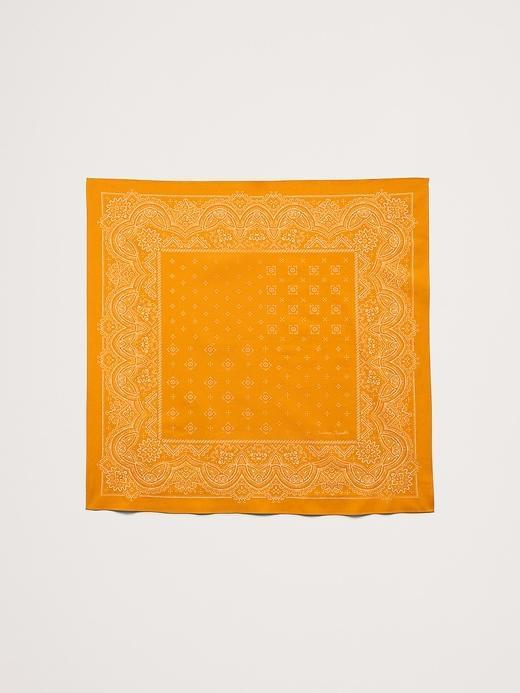 Alamere Cotton Bandana Product Image