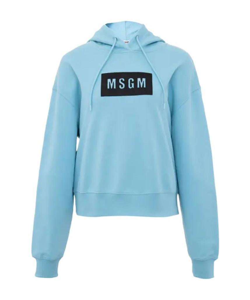 MSGM Logo Details Hooded Hoodie In Blue Product Image