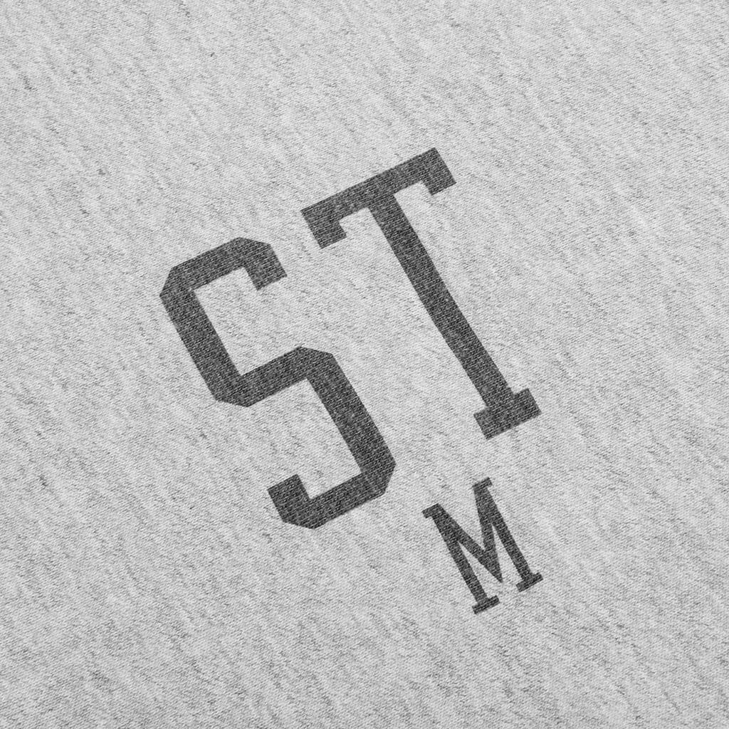 STM Crew Sweater - Grey Male Product Image