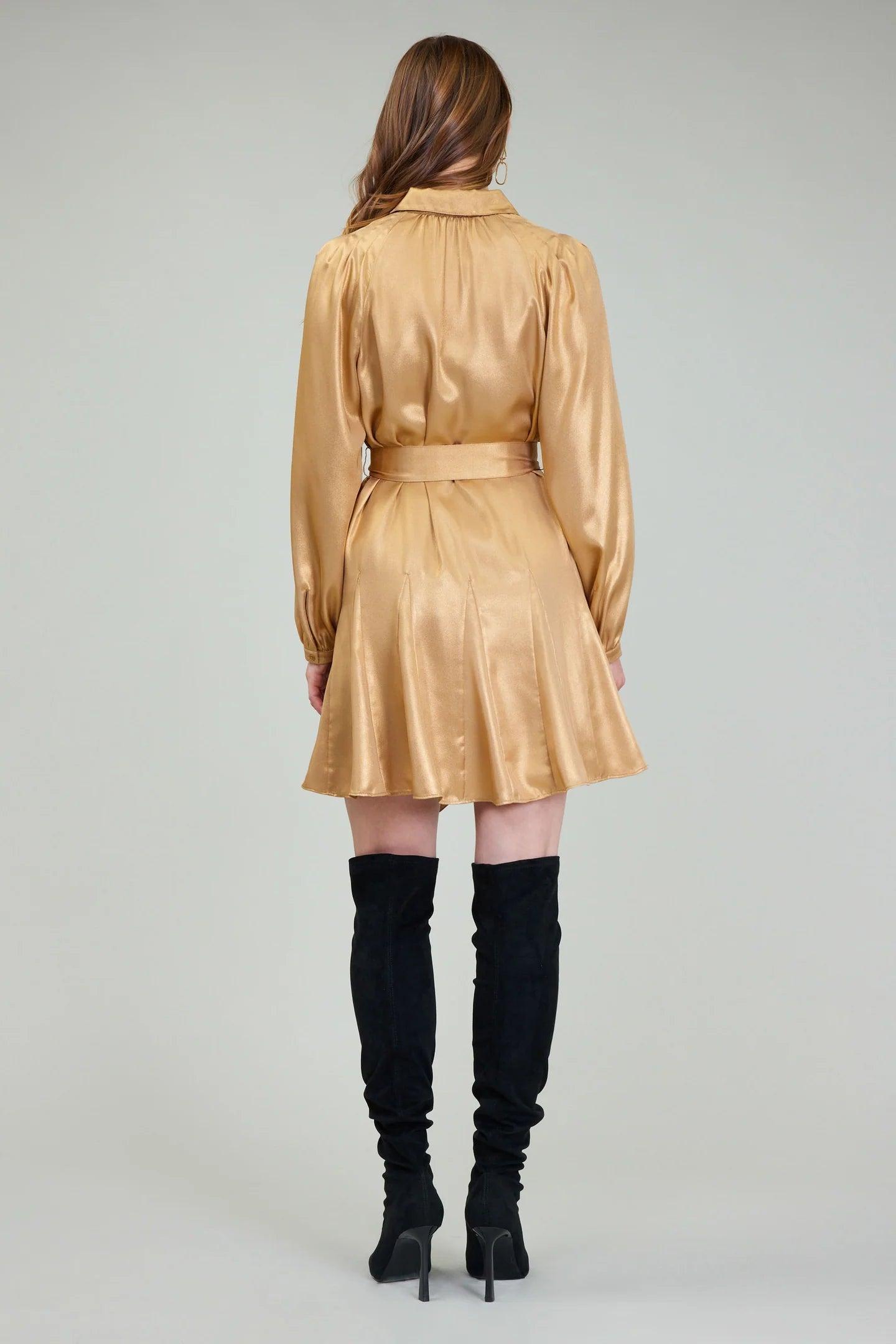 Perfect Fall Mini Dress Product Image