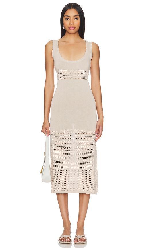 Reese Knit Midi Callahan Product Image