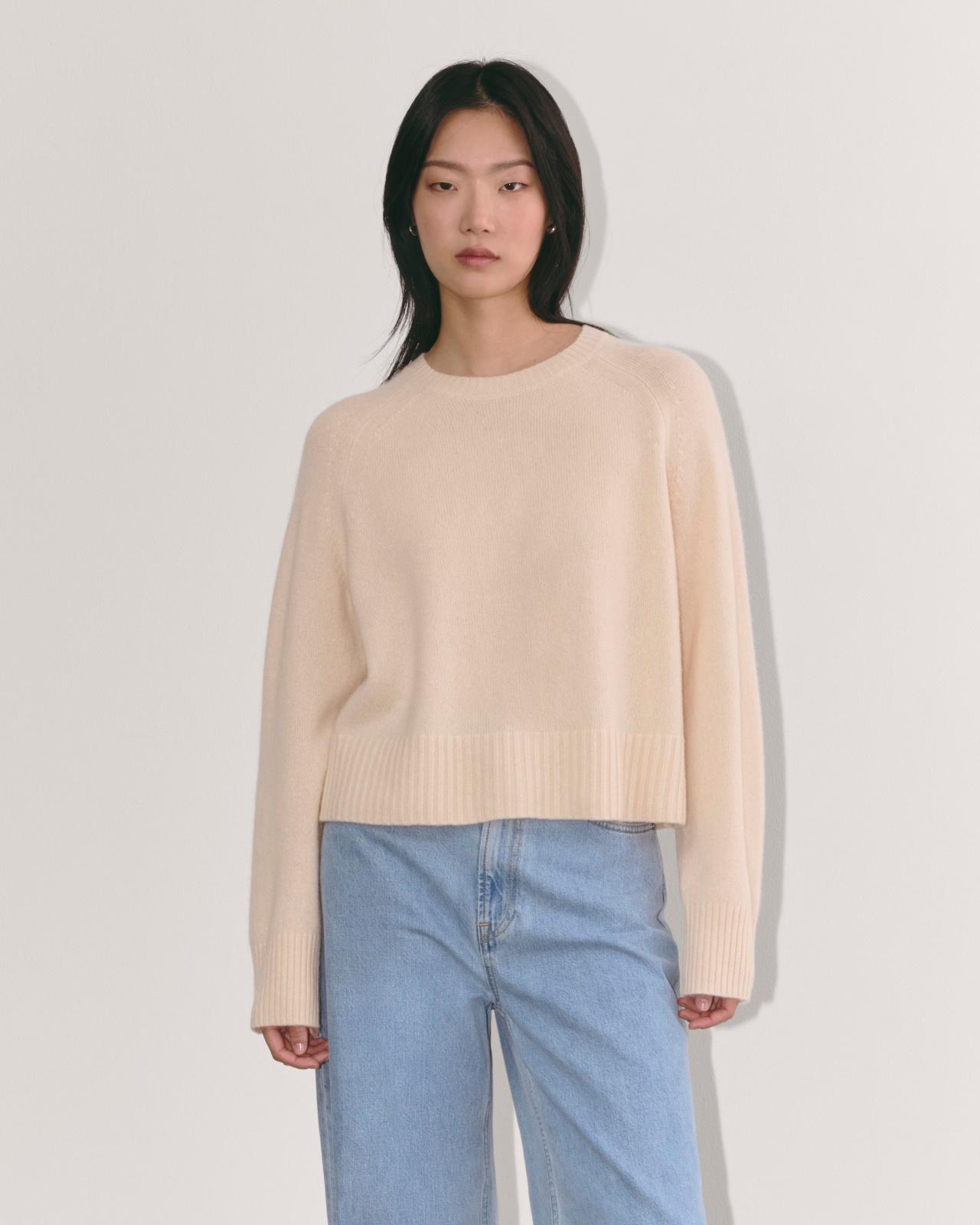 Womens Boxy Crew in Cashmere Sweater by Everlane Product Image