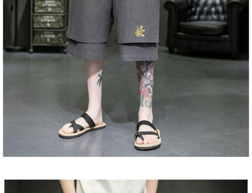 Drawstring Waist Embroidered Panel Shorts Product Image