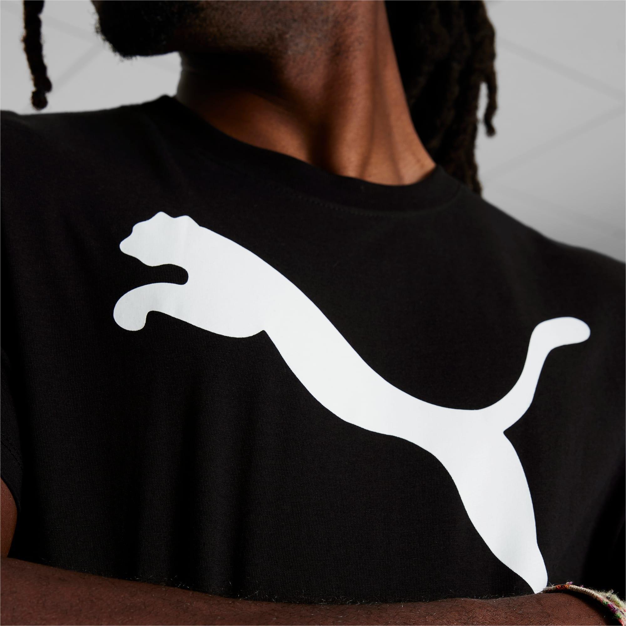 Essentials Big Cat Men's Tee Product Image