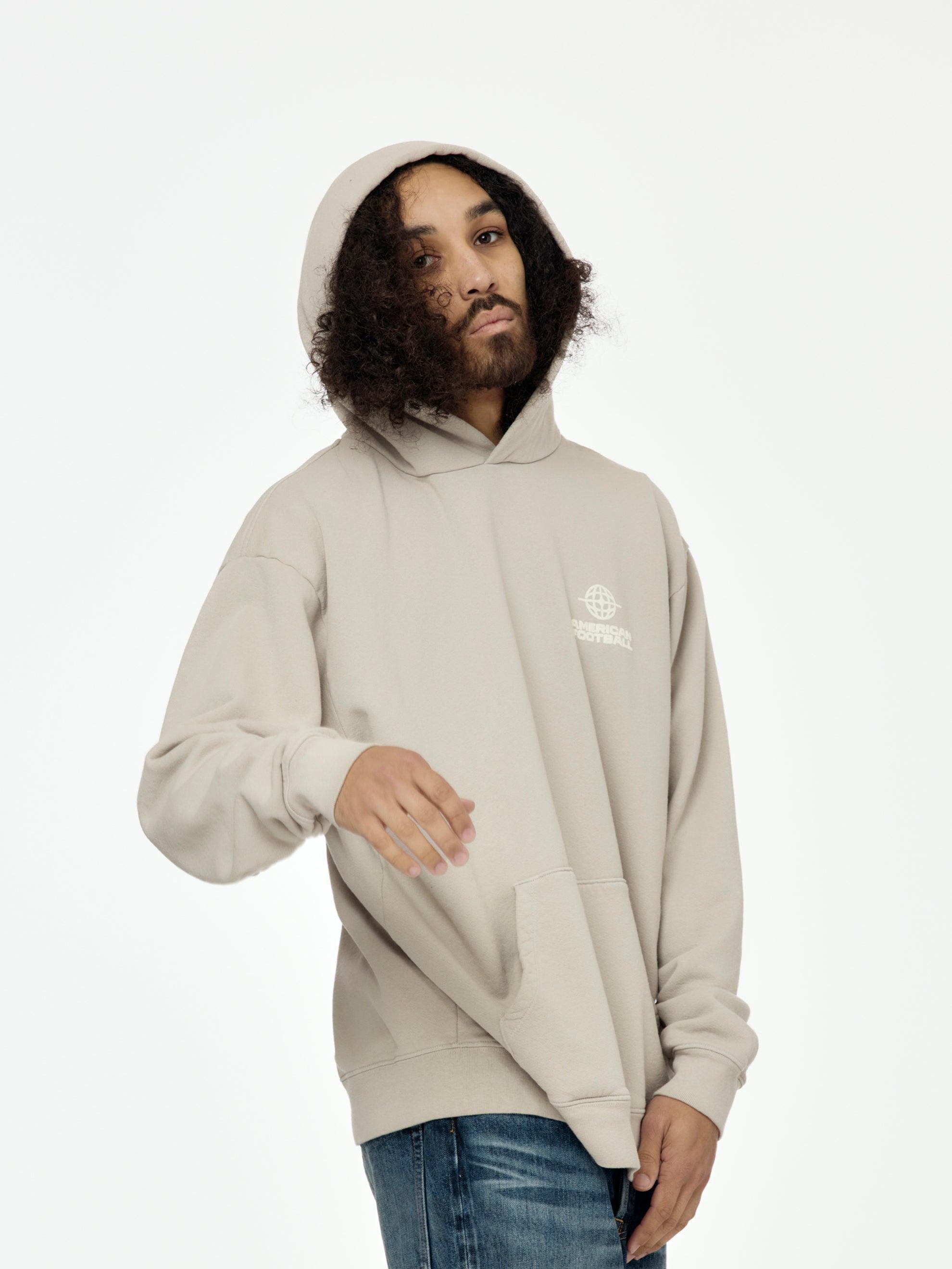 Big Icon Hoodie (Gray) Product Image