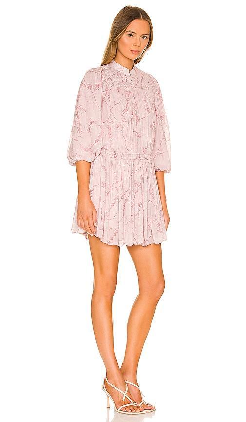 Isobella Freya Dress ALLSAINTS Product Image